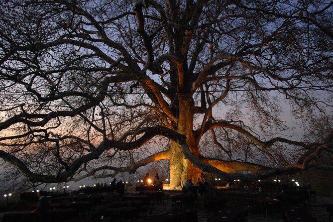 Bursa Tour From Istanbul With Ferry, Cable Car and Lunch - Pricing and Discounts