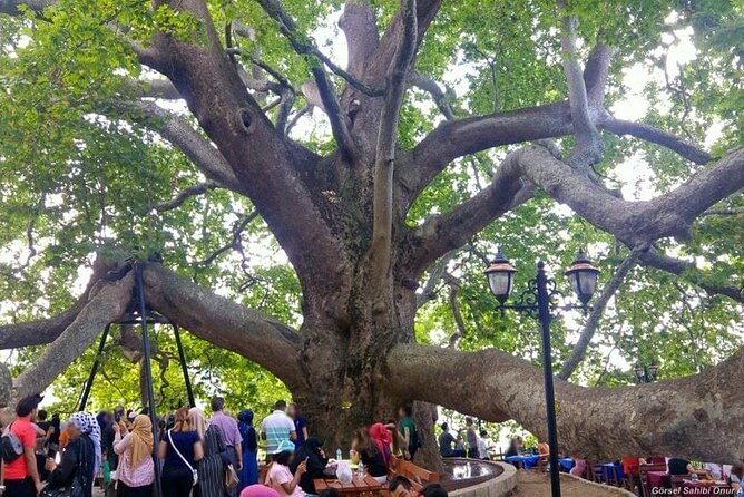 Bursa, Turkey Full Day Tour - Istanbul - Common Questions