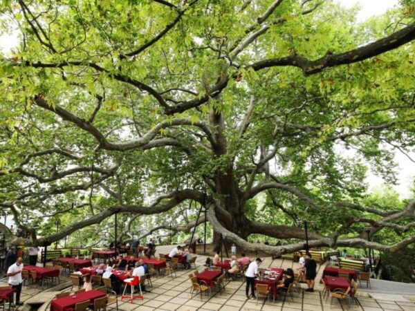 Bursa Uludag Tour With Cable Car & Lunch - Pricing Details
