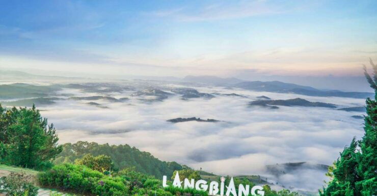 Bus Da Lat to Nha Trang (One Way) - VIP Car 12 Seats - Activity Details