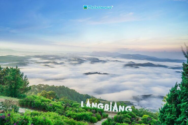 Bus Da Lat to Nha Trang (One Way) - VIP Car 12 Seats - Experience Highlights
