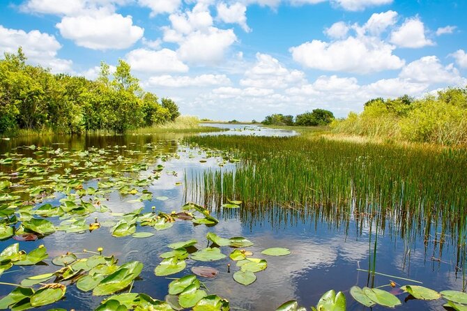 Bus From Miami to Everglades With Airboat Ride and a Free Picture - Pricing and Booking Details