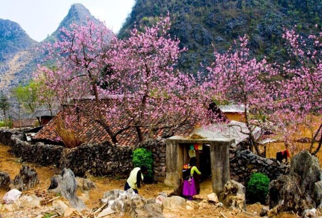 Bus Hanoi to Ha Giang - Drop-off Information