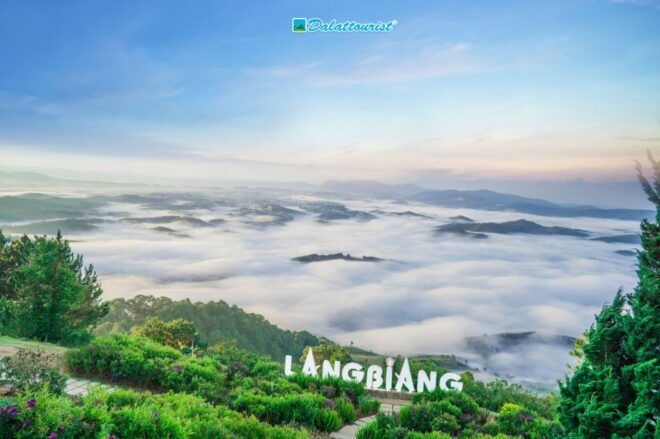 Bus Nha Trang to Da Lat (One Way) - VIP Car 12 Seats - Departure Schedule