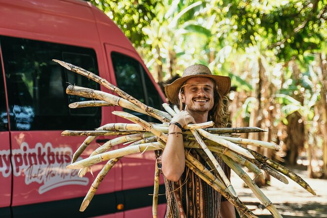 Bus Service Offers Scenic Route to Manuel Antonio - Departure Locations and Schedule