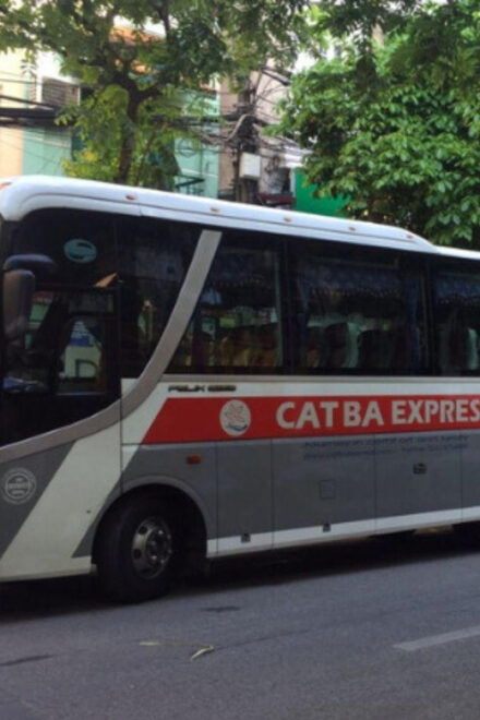 Bus Ticket From Ninh Binh - Cat Ba - Pickup and Drop-off Options