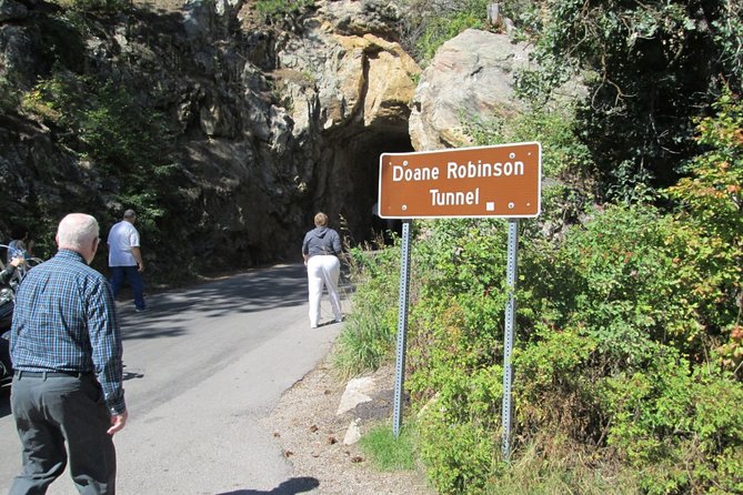 Bus Tour of Mount Rushmore and the Black Hills - Background