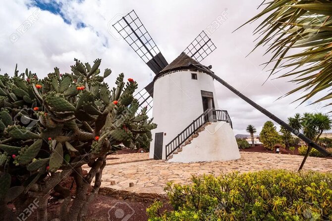 Bus Tour to Fuerteventura From Lanzarote - Optional Add-Ons