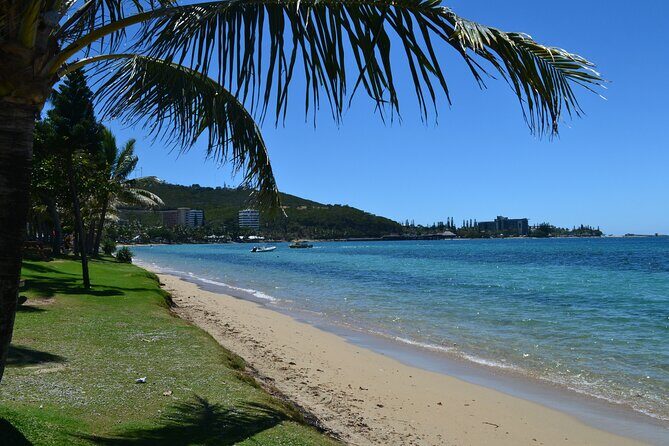 Bus Tour to Multiple Stops EN in Nouméa - FAQ