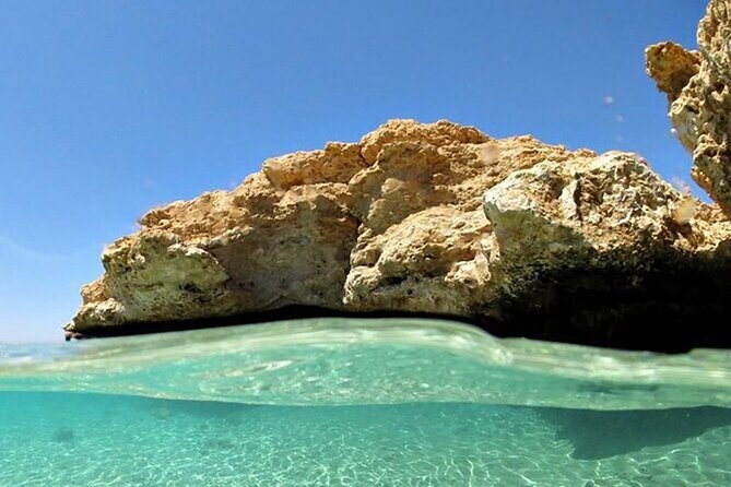 Bus Tour to Ras Mohamed From Sharm El Sheikh - Tour Details