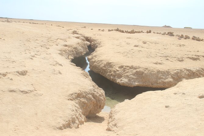 Bus Tour to Ras Mohamed From Sharm El Sheikh - Reviews