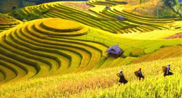 Bus Transfer From Hanoi to Mai Chau - Booking Process