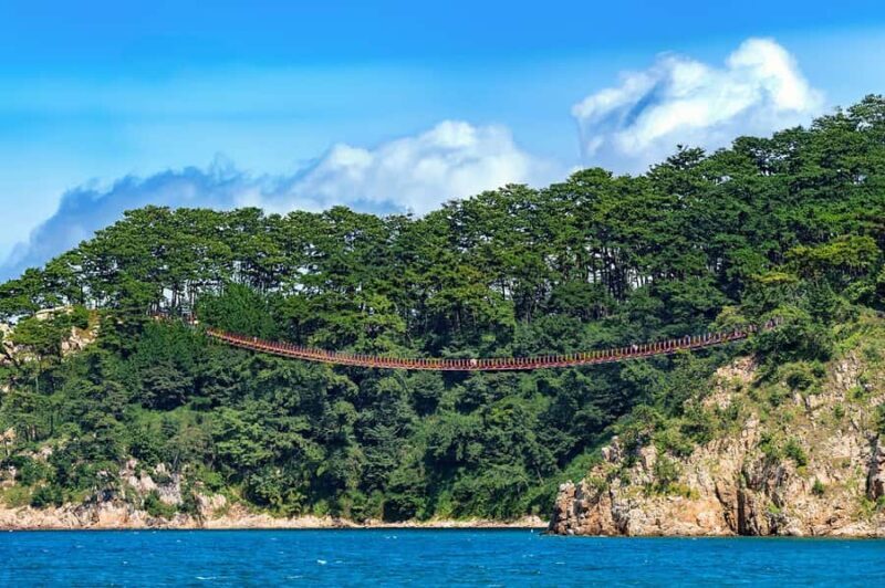 Busan: 7 Highlights Gyeongju City One Day Tour - Who Should Consider This Tour?