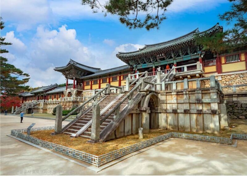 Busan: 7 Highlights Gyeongju City One Day Tour - Who Should Consider This Tour?  
