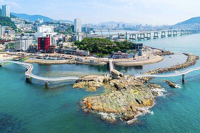 Busan 9 Highlights Tour - What Makes This Tour Stand Out?