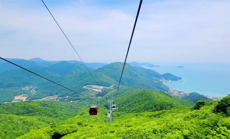 Busan: A1.Hidden Gem Geoje & Oedo Botania Island& Cable Car - Detailed Itinerary