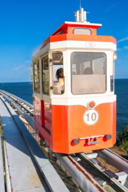 Busan: Blue Line Park Sky Capsule Train Ticket - Accessibility Features
