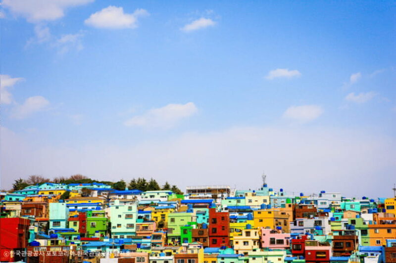 Busan: Busan 9 Highlights Tour - Bustling Seafood & Shopping Streets