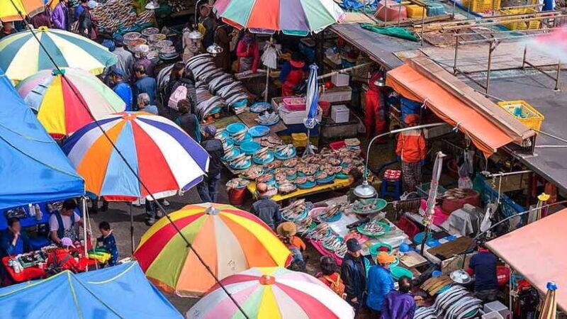 Busan: Busan 9 Highlights Tour - Iconic Bridges & Sacred Site