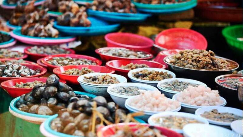 Busan: Busan 9 Highlights Tour - The Haeundae Blue Line: Personalizing Your View