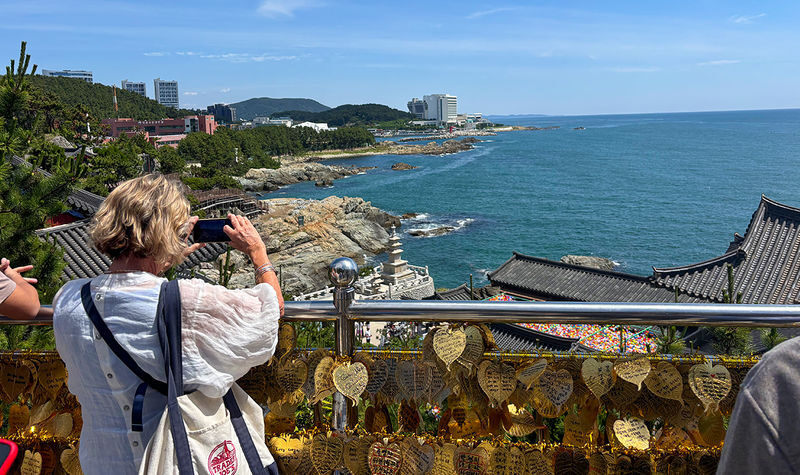 Busan City Charm 1-Day Tour - Haedong Yonggung Temple Meets the Sea