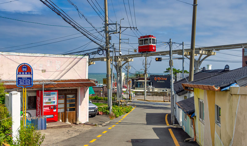 Busan City Charm 1-Day Tour - Lunch and the Optional Blue Line Park Ride