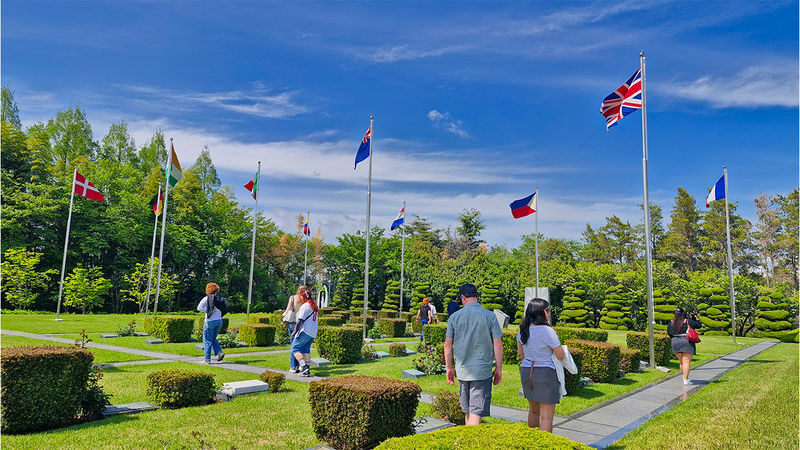 Busan City Charm 1-Day Tour - A Quiet Pause at the UN Memorial Cemetery