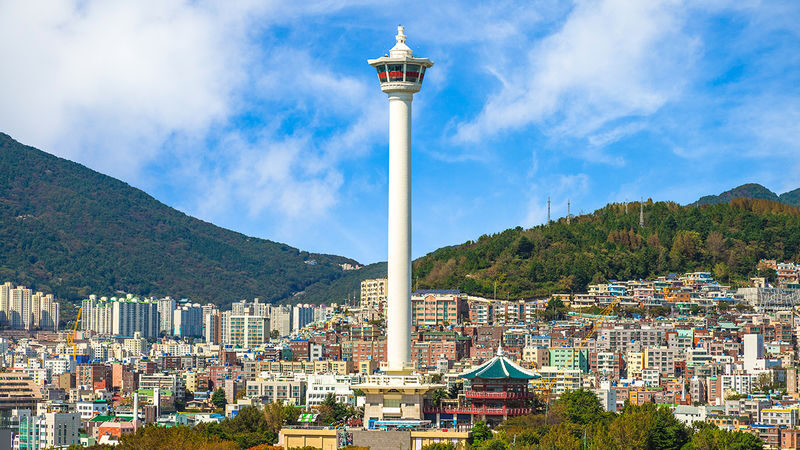 Busan City Charm 1-Day Tour - Who Will Get the Most from This Tour?