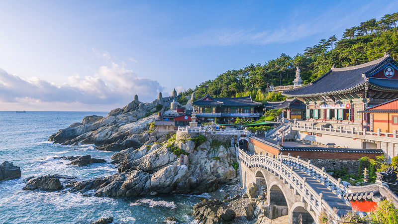 Busan City Charm 1-Day Tour - Should You Book the Busan City Charm Tour?