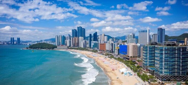 Busan City: Customizable Private Day Tour With Driver - Booking Details