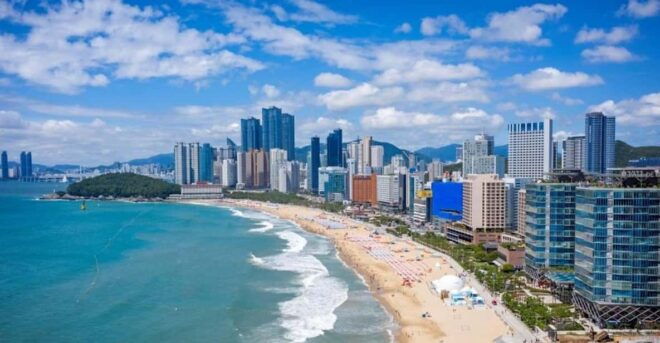 Busan City: Customizable Private Day Tour With Driver - Pricing Information