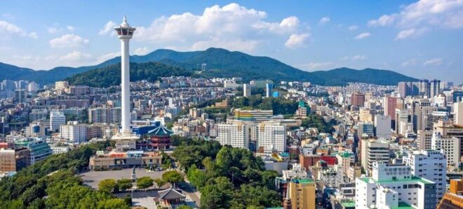 Busan City: Customizable Private Day Tour With Driver - Experience Highlights