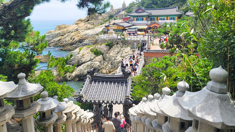 Busan City One day Authentic Tour - Cheongsapo: glass underfoot, ocean all around