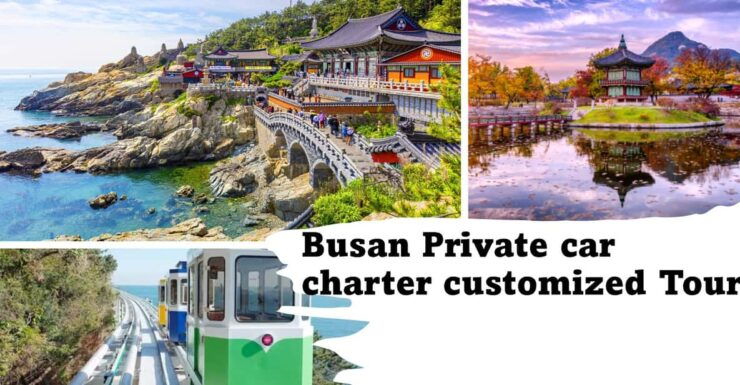 Busan City Private Chartered Car Tour - Key Points