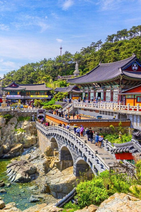 Busan City Private Chartered Car Tour - Customizable Itinerary Options