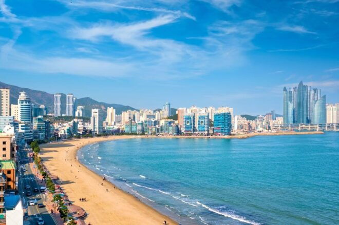 Busan City Private Chartered Car Tour - Questions You May Have