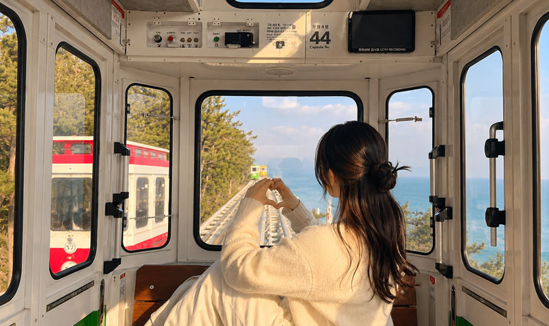 Busan City Top Attractions Tour with Haeundae Blueline Park - A quiet pause at the UN Memorial Cemetery