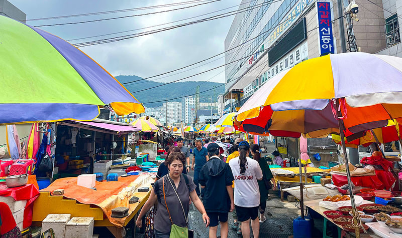 Busan City Top Attractions Tour with Haeundae Blueline Park - Small preparations that make the day easier