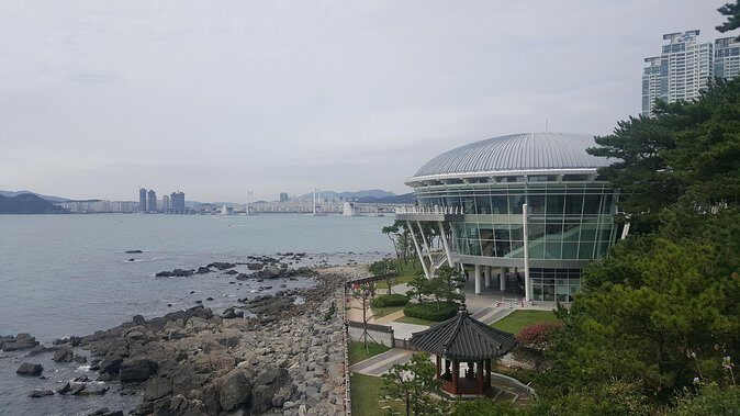 Busan city tour from Seoul by KTX bullet train - The Itinerary: A Closer Look