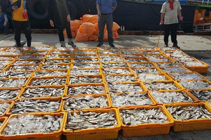 Busan city tour from Seoul by KTX bullet train - Who Will Love This Tour?