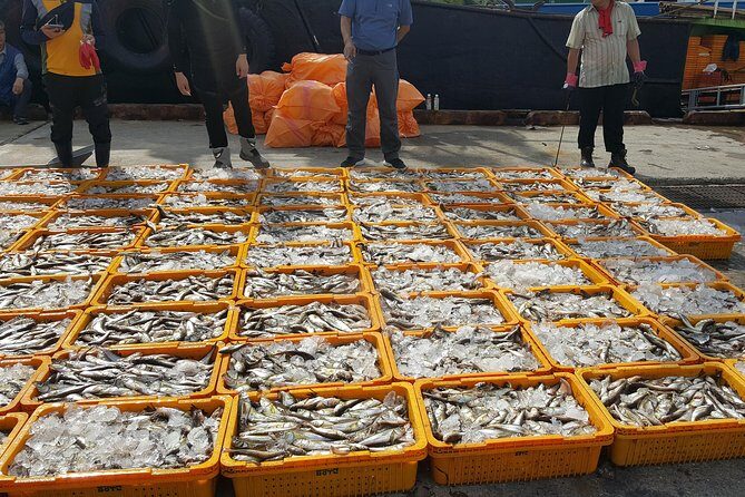 Busan city tour from Seoul by KTX bullet train - FAQ