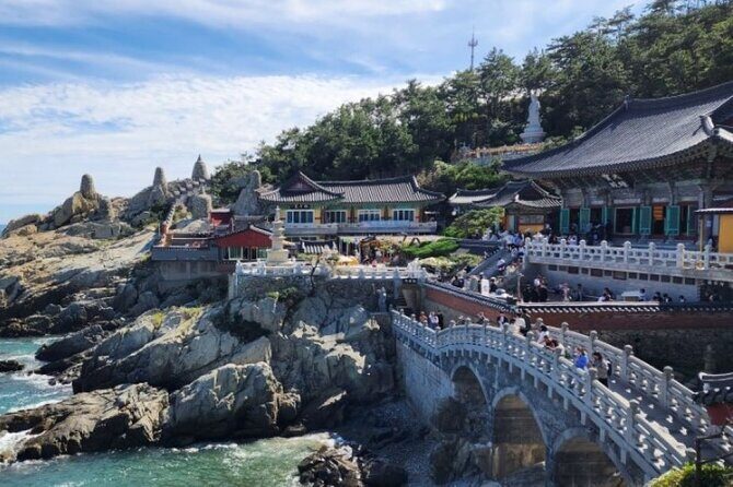 Busan city & UNESCO Tongdosa Temple Tour from Seoul by KTX Train - The Sum Up