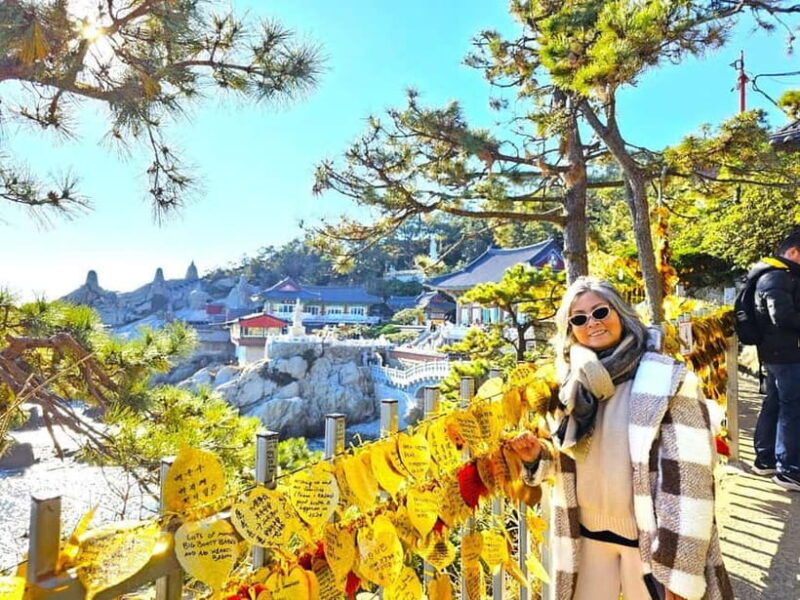 Busan Cruise Port - VIP Group Tour (Max 6 Guests) - Final Thoughts