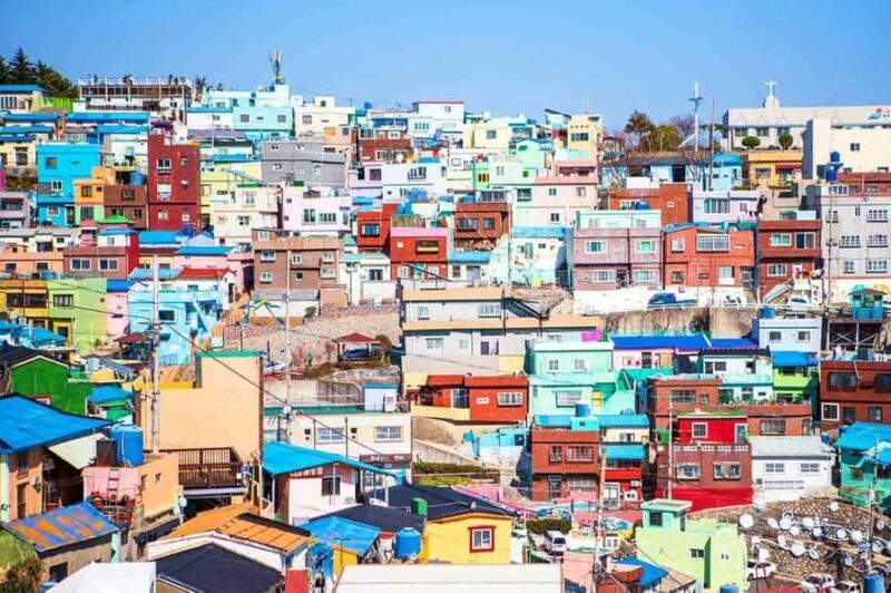 Busan: Customized Private Car Tour City Sights & Local Gems - Final Thoughts