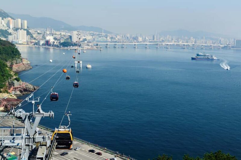 Busan Day & Night: Sky Capsule, Coastal Views & City Lights - The Sum Up: Who Should Consider This Tour?
