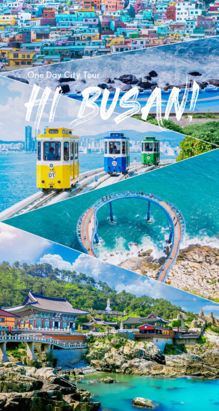Busan Day Tour: Sky Capsule, Gamcheon, Haeundae Blueline Park & more - Lunch: plan to pay separately