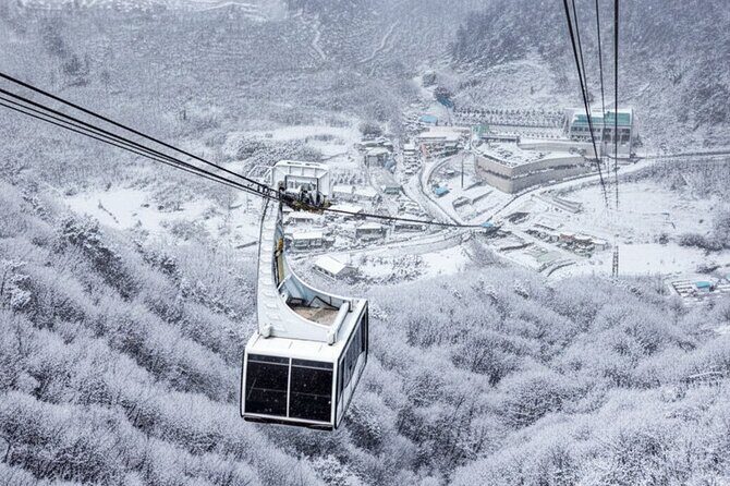 Busan Discovery Tour with Snow and UNESCO Spot - A Closer Look: What to Expect from the Busan Discovery Tour