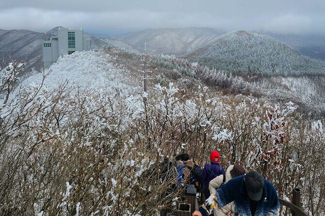 Busan Discovery Tour with Snow and UNESCO Spot - FAQ