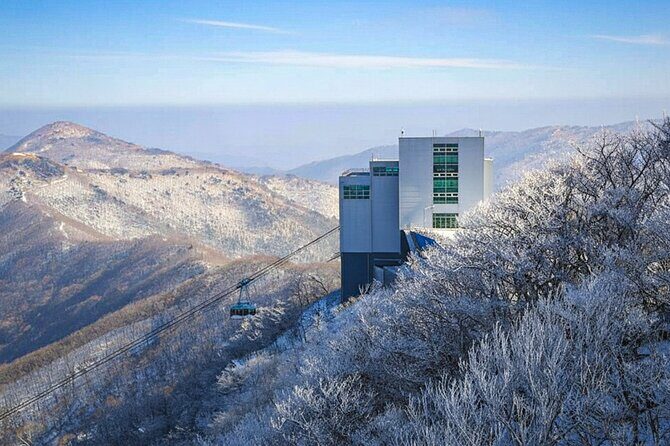 Busan Discovery Tour with Snow and UNESCO Spot - The Sum Up