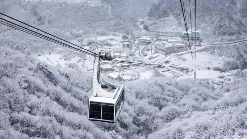 Busan: Discovery Tour With Snow & UNESCO Spot - Exploring the Itinerary in Detail